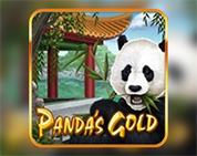 Panda`s Gold